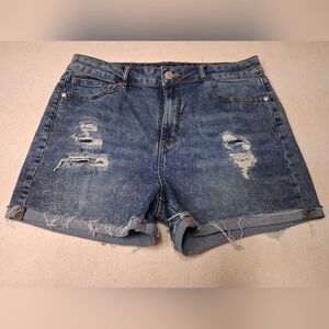 Denim Distressed Women Shorts